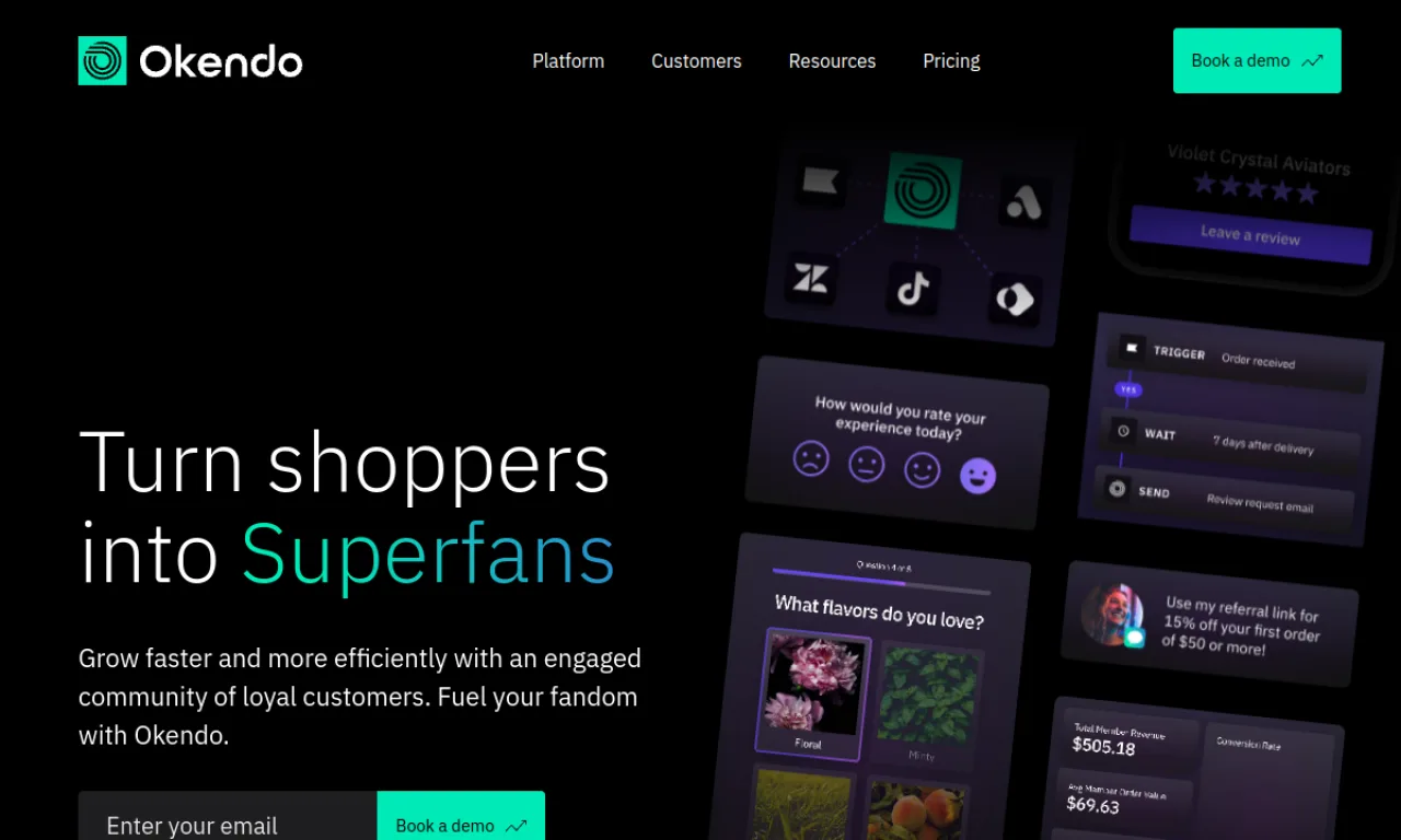 Screenshot of Okendo website