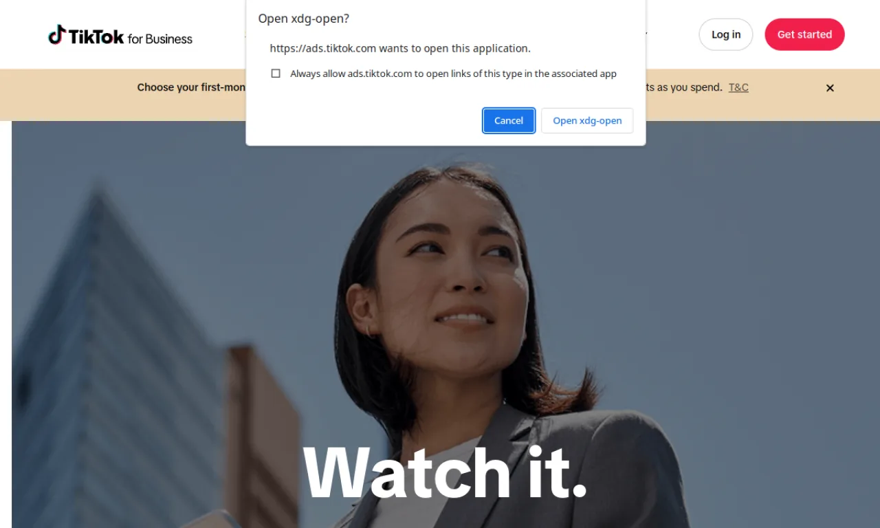 Screenshot of TikTok Ads website