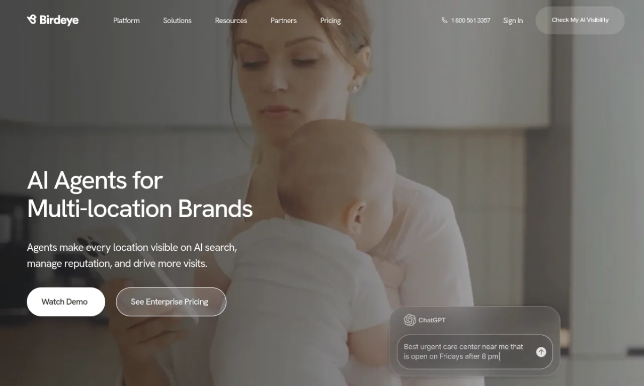 Screenshot of Birdeye (local) website