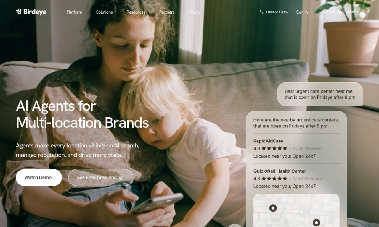 Screenshot of Birdeye (local) website