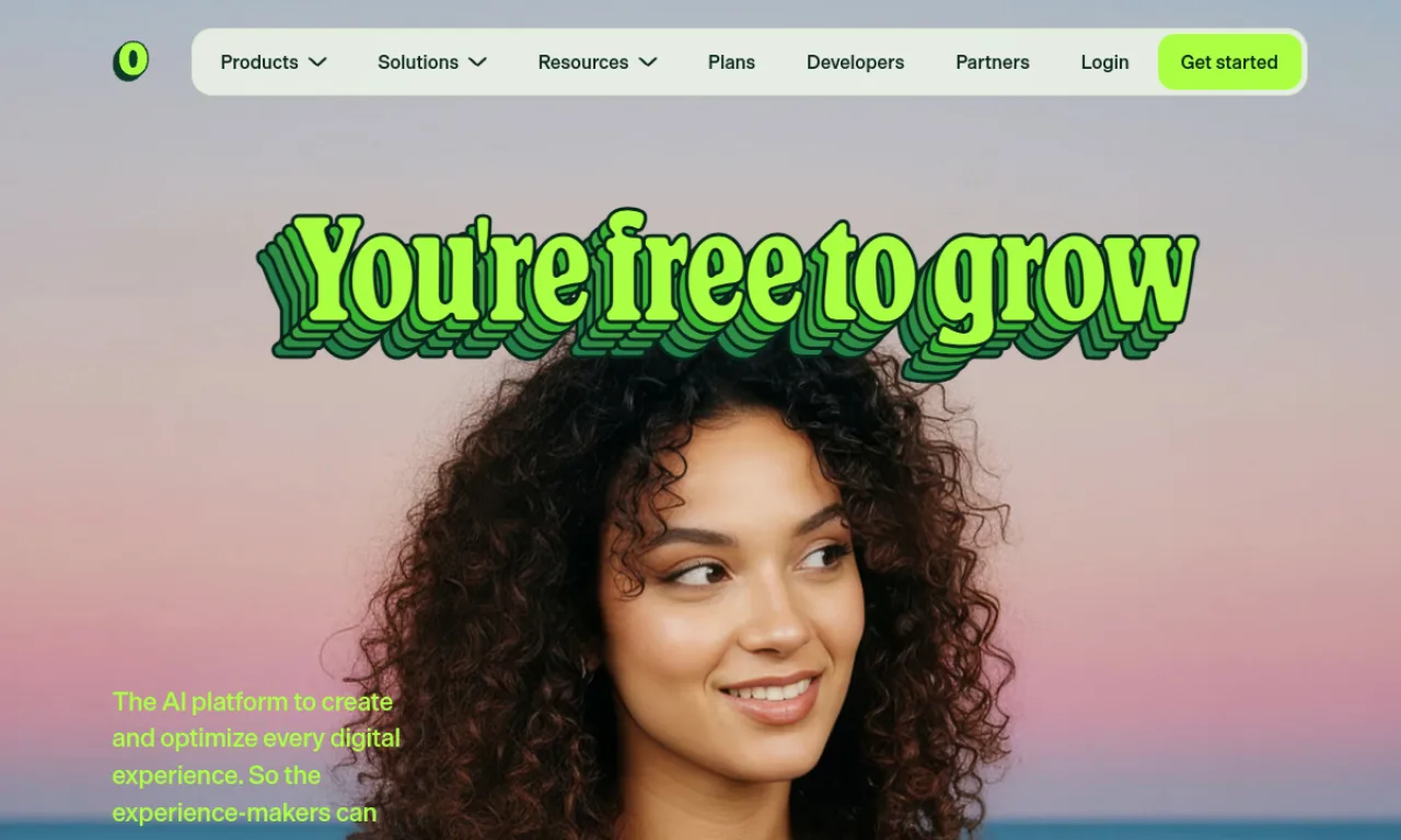 Screenshot of Optimizely website