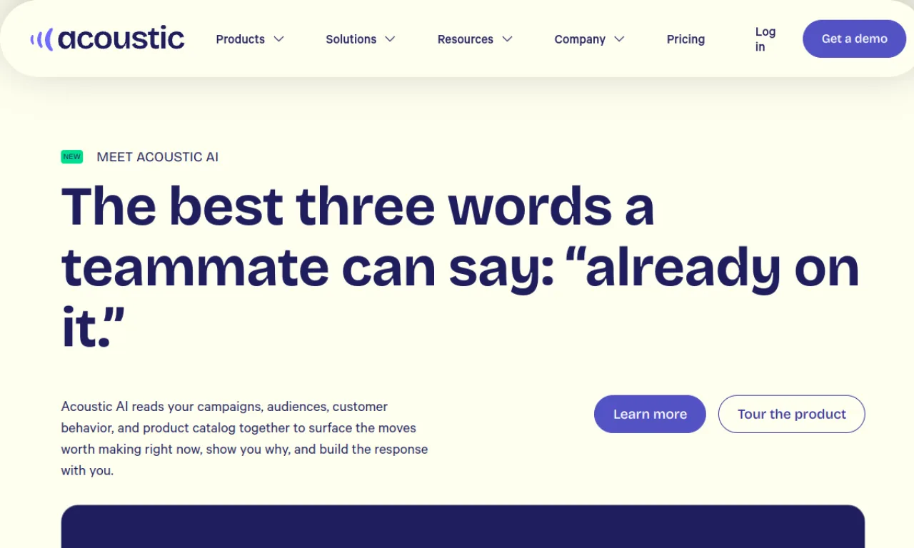 Screenshot of Acoustic (Tealium) website