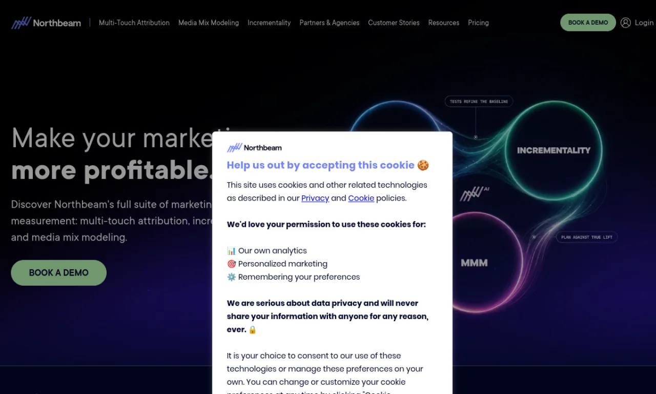 Screenshot of Northbeam website