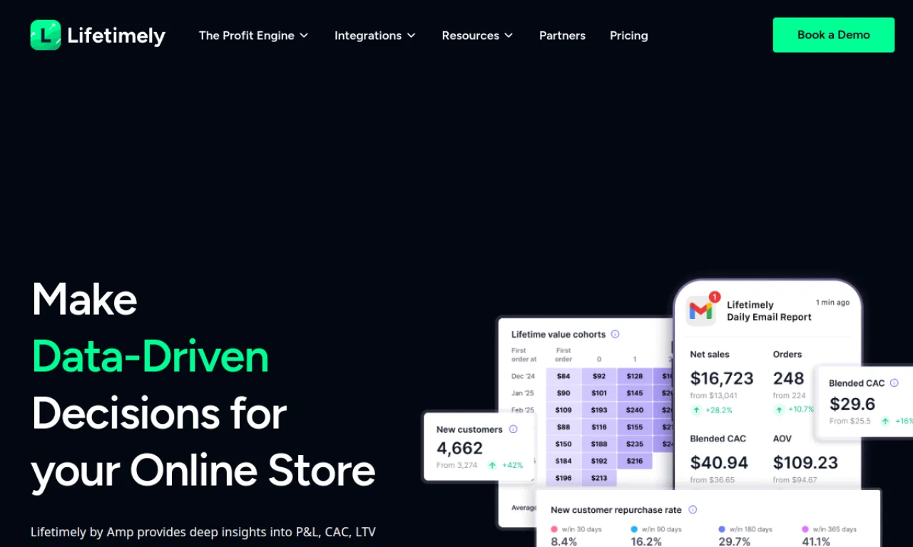 Screenshot of Lifetimely (AMP) website